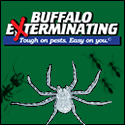 buffalo-exterminating-bug